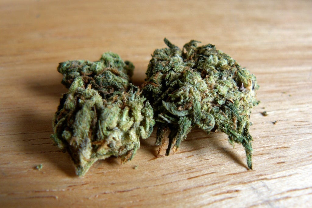 weed strains