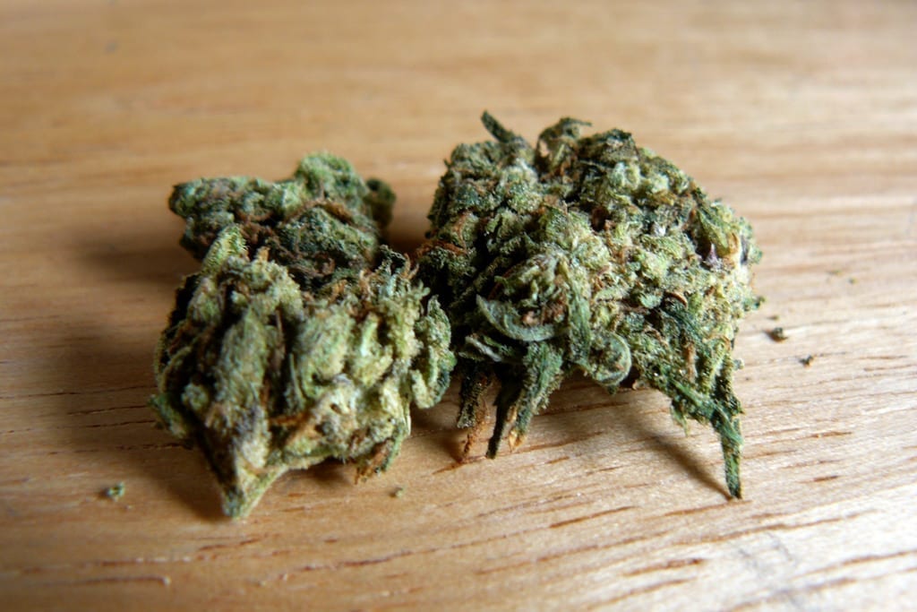 weed strains