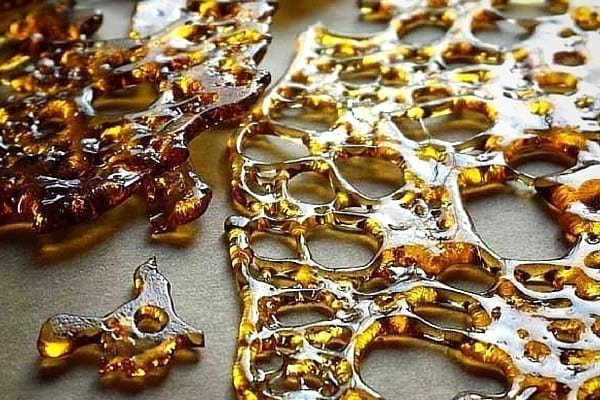 Concentrates - BHO Shatter Extract