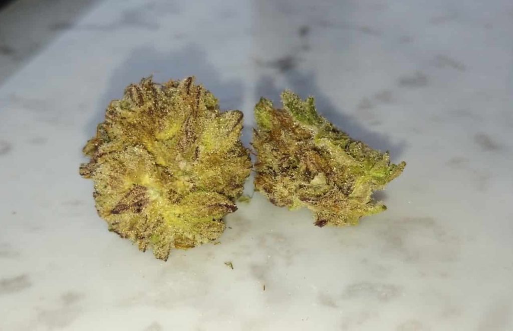 Crystalline and zero molds nug is top shelf.