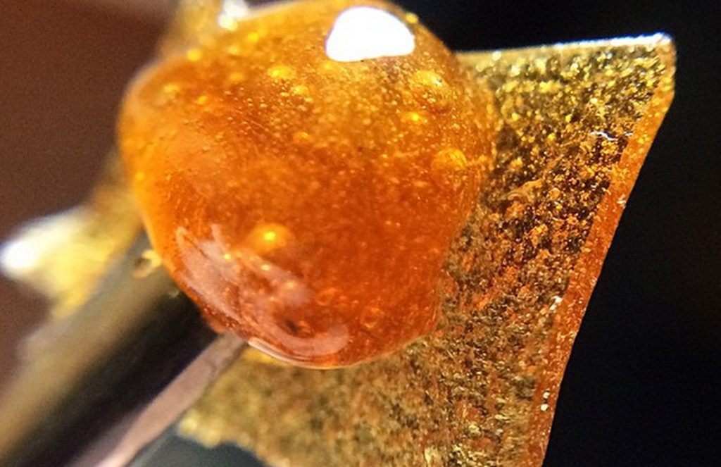 A rosin press compresses dry marijuana into solventless extract.