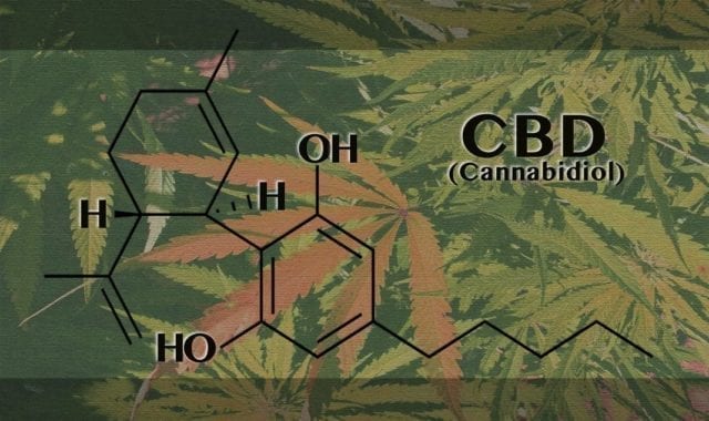 Cannabidiol - CBD