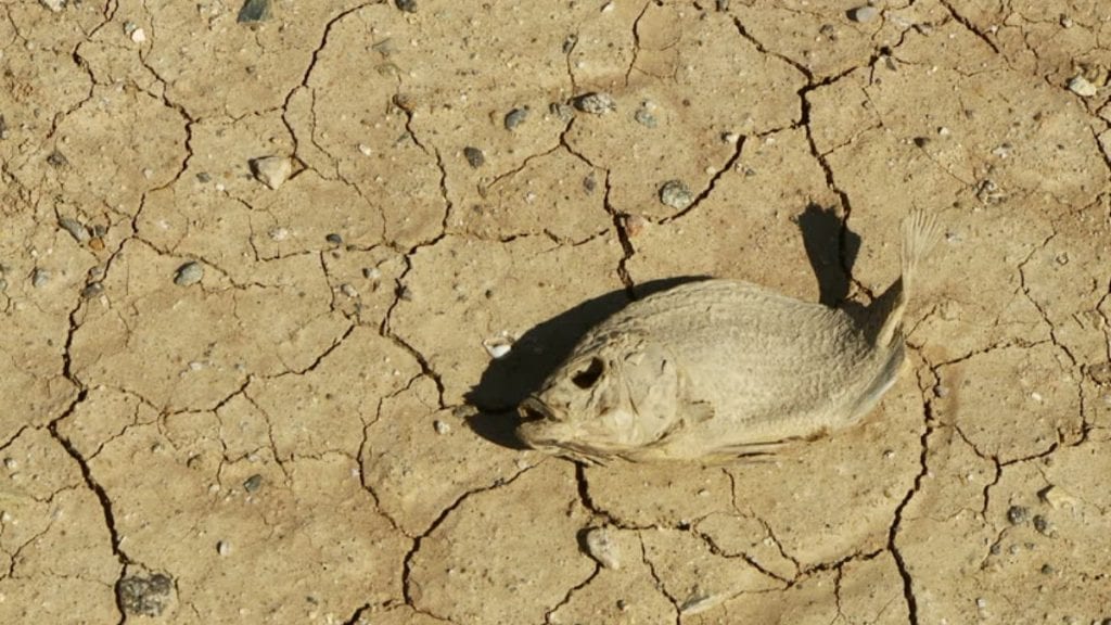 cotton mouth feels this dry